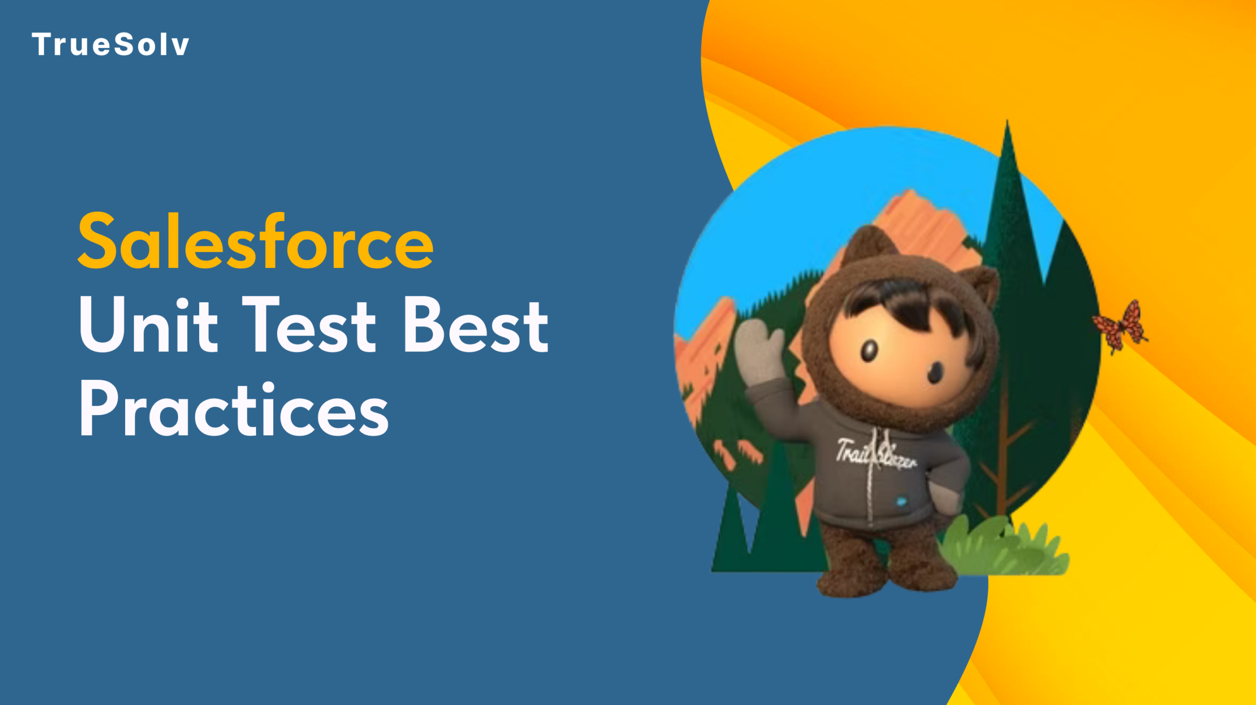 salesforce unit test