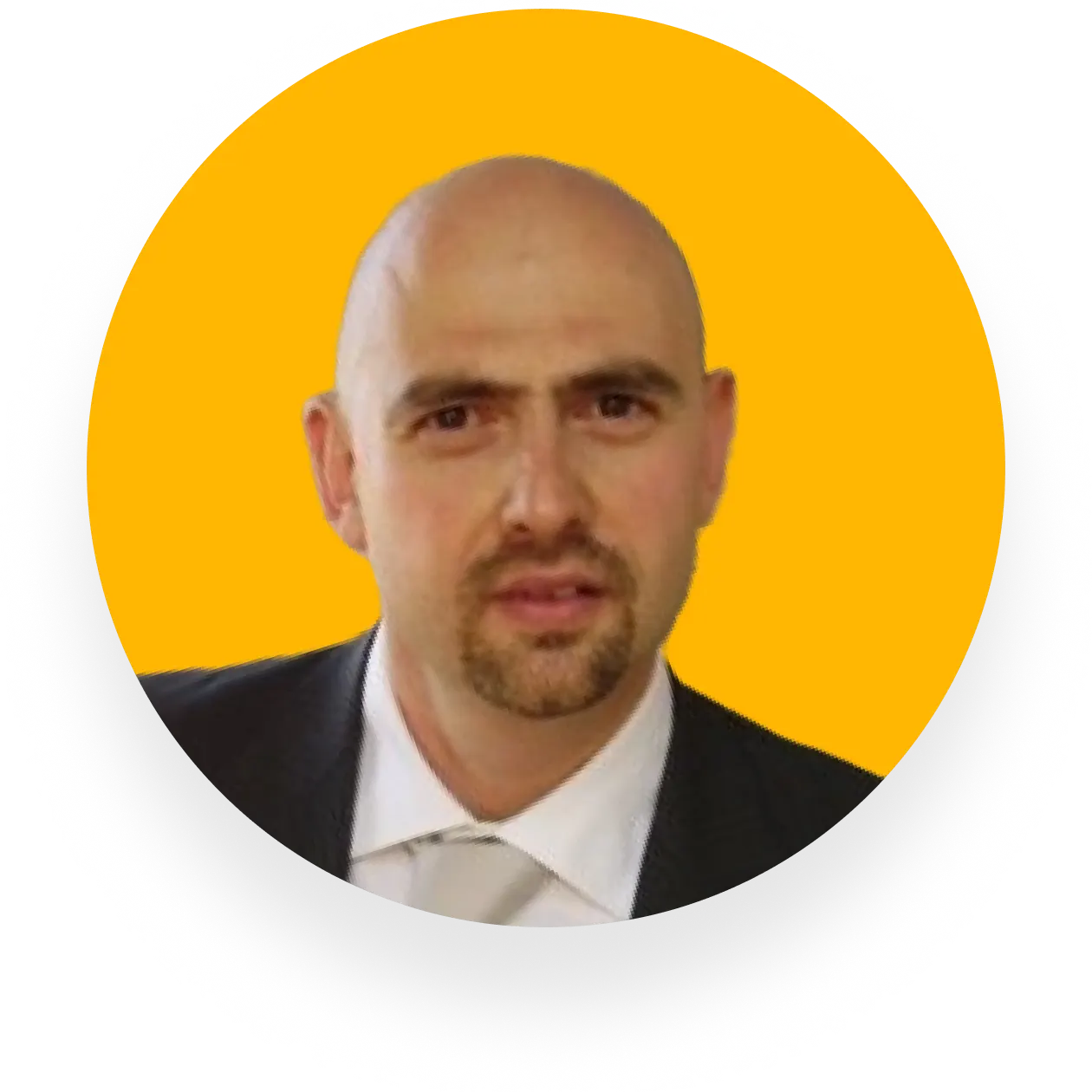 Michele Delia — Business Unit Manager at WebResults, TrueSolv Salesforce review